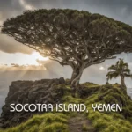 Socotra Island, Yemen