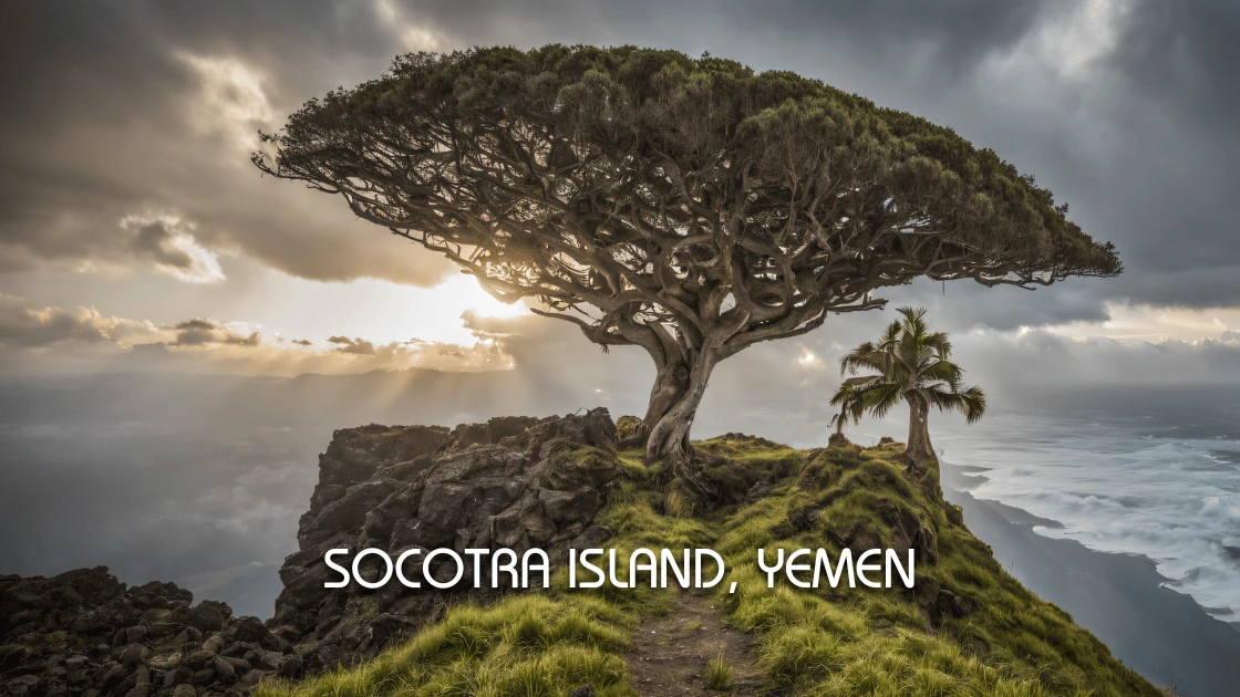 Socotra Island, Yemen: A Journey to One of Earth’s Strangest Landscapes